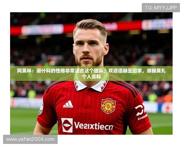 九游娱乐官方网站是赞助的不莱梅带来哪些合作优势与未来发展前景分析
